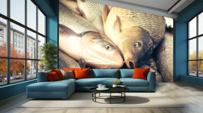 Fresh fish carp Wall mural