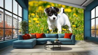 Jack russell terrier in garden Wall mural