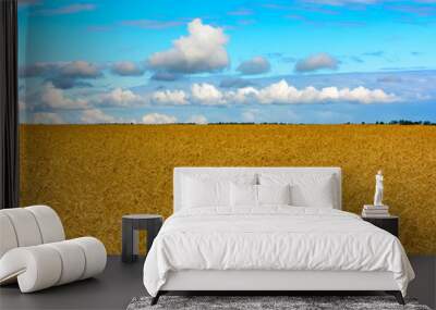 A field of ripened grain before the harvest. Wall mural