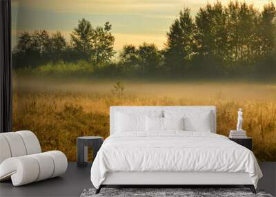 The early autumn morning mist Wall mural