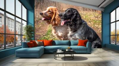 Portrait of two adorable Russian spaniels in the spring forest. Close-up of a dog's head. Red-white and black-white purebred dogs. Wall mural