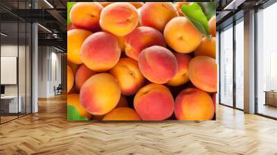 Ripe apricots fruit with leaves background Wall mural