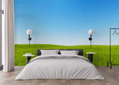 Landscape green grass blue sky 3d rendering Wall mural