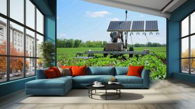 Agricultural robot with solar panel working in a field with lettuce plants. Wall mural