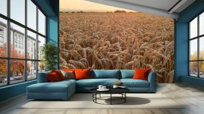 Agricultural golden wheat field at sunset Wall mural