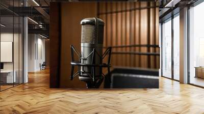 Studio microphone and pop shield on mic in the empty recording studio with copy space Wall mural