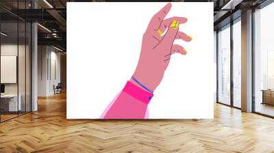 Female hands. Hand sign illustration Wall mural