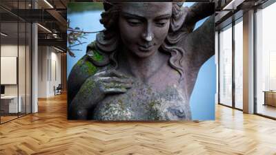 Beautiful Olympic goddess of love Aphrodite (Venus) Fragment of ancient statue. Vertical image. Wall mural