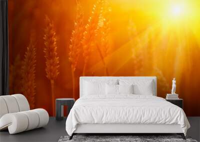 Spikes of gold wheat in summer sun rays. Grain crops in the field. Agriculture, agronomy, industry concept. Wall mural