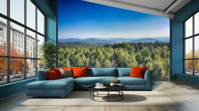 The landscape of Carpathian Mountains in the sunny weather. Perfect weather condition in the summer season Wall mural