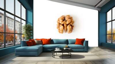 Half of a walnut looks like a brain on a white background. Wall mural