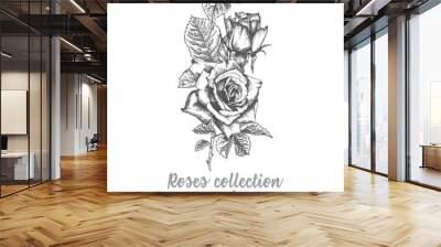 Hand drawn sketch bouquet of roses Detailed vintage botanical illuatration. Floral black silhouette isollated on white background Creative graphic art in engraving style Vector Wall mural