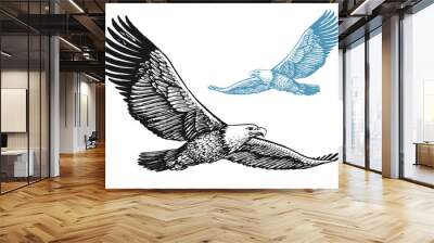 Bald eagle with spread wings in flight isolated on white background. Bird vector illustration in vintage engraving style Wall mural