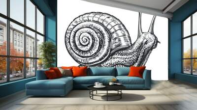 Big snail crawling sketch. Invertebrate animal in vintage engraving style. Vector illustration Wall mural