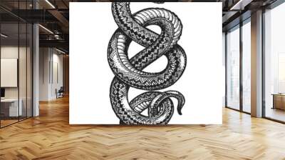 Coiled Snake sketch. Hand drawn vintage vector illustration for posters, tattoo, clothes Wall mural