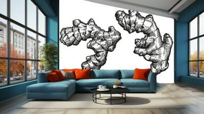 Engraving vintage vector black illustration of Ginger root. Element Isolated on a white background Wall mural