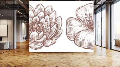 Flowers set. Lotus and lily sketch. Engraved style illustration. Vintage vector illustration Wall mural