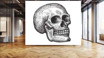 Human skull in vintage gothic style. Engraving sketch vector illustration Wall mural