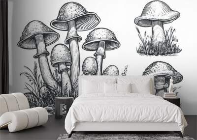 Mushrooms set. Hand drawn growing mushroom, mycelium in vintage engraving style. Sketch vector illustration Wall mural