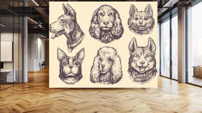 Set of portraits of heads of Dogs of different breeds. Cute pet animals collection. Dog and puppy vector illustration Wall mural