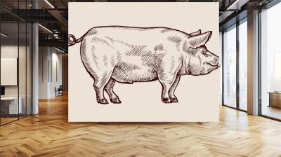 Sketch pig. Hand-drawn vector illustration Wall mural