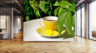 Freshly brewed espresso coffee.  Summer day in the garden. Wall mural