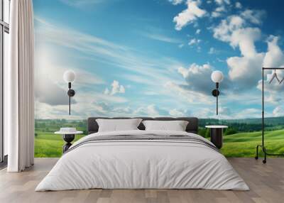 Beautiful panoramic natural landscape of a green field with grass against a blue sky with sun. Spring summer blurred background Wall mural