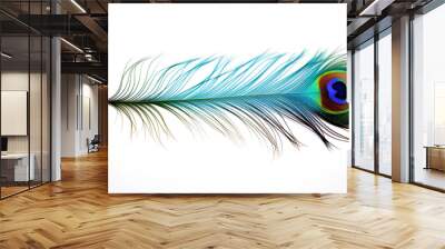 Peacock feather plume isolated on white Wall mural