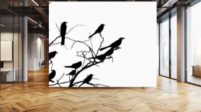 silhouettes of birds Wall mural