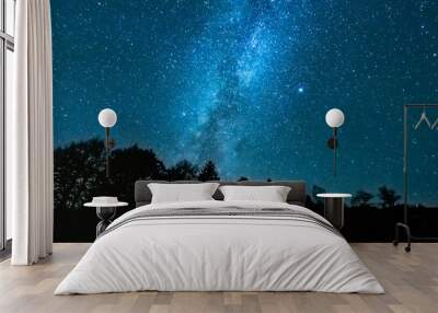 starry night above the forest showing the milky way Wall mural