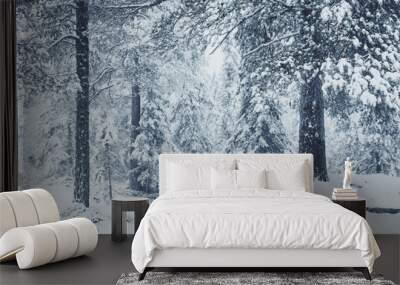 winter forest in the snow Wall mural