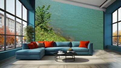 Lake. Wall mural