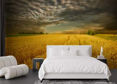  storm above the grain field Wall mural