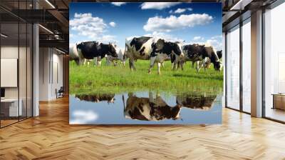 calves on the field Wall mural