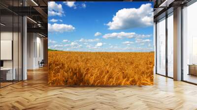 Wheat field against a blue sky Wall mural