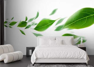 abstract green leaves swirling motion isolated transparent Wall mural