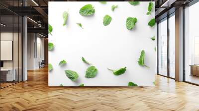 Fresh Mint Leaves on Transparent Background Wall mural