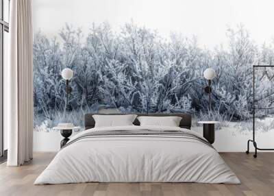 Frosted Bush on Transparent Background, Winter Wall mural