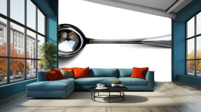 Shiny Stainless Steel Soup Ladle Wall mural