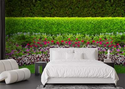 garden bed in park with plants deciduous hedge and flower bed with flowers on green grass landscape design bnner, nobody. Wall mural