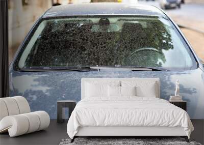 the windshield of a dirty car in stains and drops of dirt after a rain, front view of the window with wipers. Wall mural