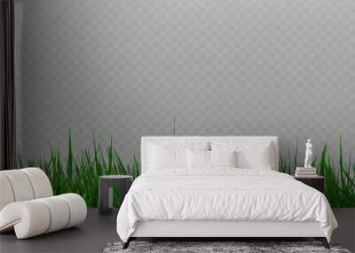 Grass border, vector illustration. Vector grass, lawn. Grass png, lawn png. Green grass with sun glare.	 Wall mural