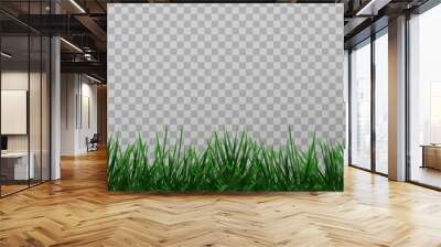 Grass border, vector illustration. Vector grass, lawn. Grass png, lawn png. Green grass with sun glare. Wall mural