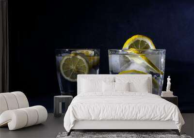  splash Gin and tonic cocktail with lemon slices Ice cube falls into water with lemon Copy space, lemonade Wall mural