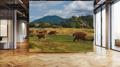 Eastern Kazakhstan. Peacefully grazing cows in Bayanaul national natural Park. Wall mural