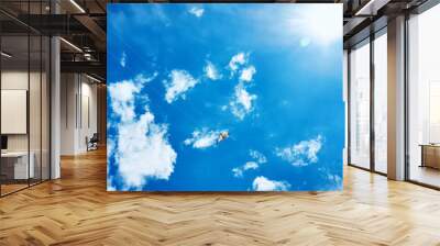 A large kite floats high in the sky among the clouds against the blue sky and the bright summer sun and it is controlled by two white ropes going to the ground Wall mural