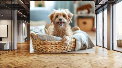 A cute dog sits in a basket in his home. Friend of man in the home cozy atmosphere at home Wall mural