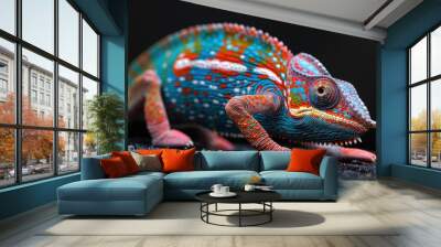 Colorful chameleon on an isolated black background Wall mural