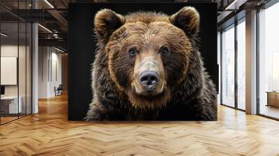 Portrait of a brown bear on black isolated background. Portrait of a Kamchatka bear Wall mural