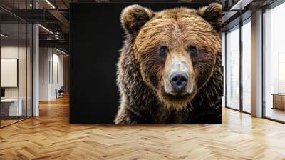 Portrait of a brown bear on black isolated background. Portrait of a Kamchatka bear Wall mural